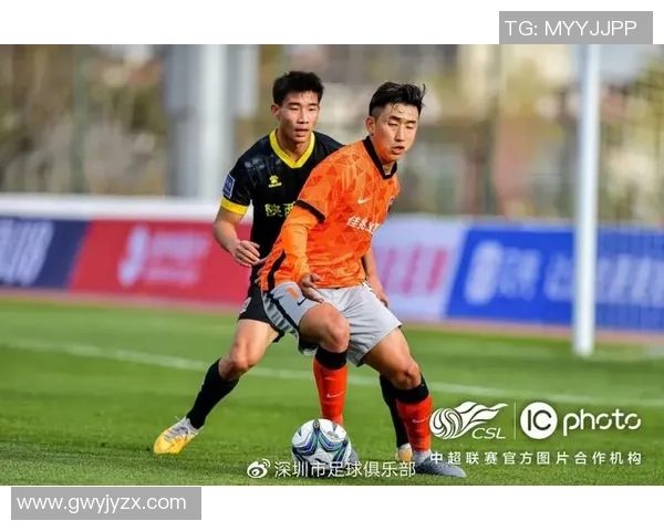 深圳飞盘队运营策略深度分析与发展前景探讨